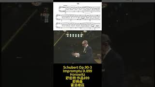 Schubert Op903 D899 Impromptu 舒伯特 即興曲 8993 Score Sheet 譜 樂譜 谱 乐谱 Partitura 楽譜付き 【Kero】shorts [upl. by Yttisahc]