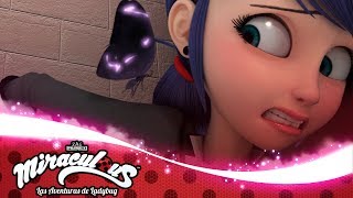 MIRACULOUS  🐞 CAMALEÓN  Akumatizado 🐞  Las Aventuras de Ladybug [upl. by Ailyn]