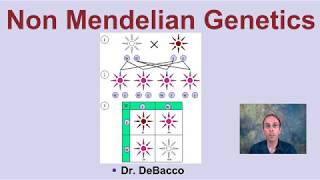 Non Mendelian Genetics [upl. by Halil]