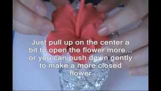 How to Make a Gumpaste Hibiscus Part 2 [upl. by Parks58]