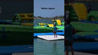 Wai kai lagoon adventure kids hawaii waikailagoon [upl. by Ydnac435]