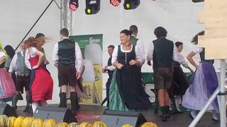 Bandoneon Polka Aufsteirern 2016 [upl. by Edya168]