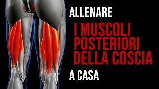 Come allenare i bicipiti femorali a casa  3 esercizi per femorali a corpo libero Parte 1 [upl. by Purse]