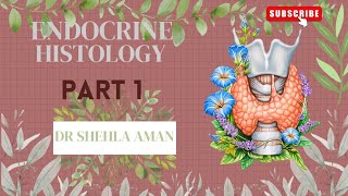 Histology of endocrine system  part 1  pitutary gland amp pineal gland  Dr Shehla Aman [upl. by Toh]