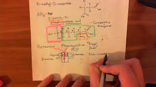 NMDA Receptors Part 3 [upl. by Artus]