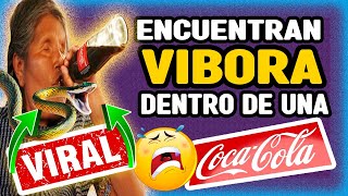 un hombre compra una COCA COLA QUE VENIA CON VIBORA en Bolivia [upl. by Burnight835]