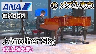 【葉加瀬太郎】4つ星ホテルで演奏。ANA機内BGM「Another Sky」を弾いてみた [upl. by Latonia]