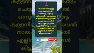 Motivational quotes Malayalam motivation Buddha quotes Relax and Smile [upl. by Aralomo]