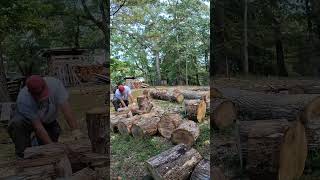 White oak noodling… newmusic newsong firewood lukecombs [upl. by Jessy]