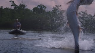 Pesca de gigantes  River Monsters  Discovery Latinoamérica [upl. by Hurlbut]