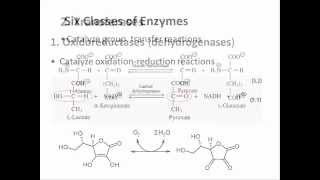 Biochemistry 94 Enzyme classification [upl. by Batchelor632]