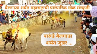 बैलगाडा शर्यत  bailgada sharyat  parunde junnar  parunde yatra [upl. by Akselaw]