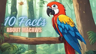 10 Amazing Macaw Facts for Kids Exploring the Colorful World of Tropical Parrots [upl. by Adnamra]