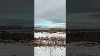 LookOff at Reservoir Park Wolfville NS Jan 22 2024 [upl. by Tebzil]