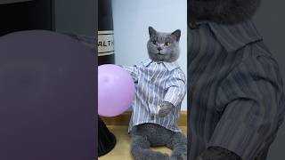 Hot Body Try This Amazing Weight Loss Hack🤪🏃‍♀️ funnycat lifehacks catmemes trending [upl. by West]