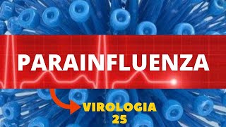 PARAINFLUENZA  VIROLOGIA  AULA 25 [upl. by Ateerys]