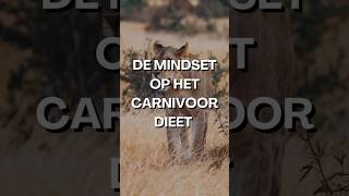 De Mindset Op Het Carnivoor Dieet [upl. by Bary]