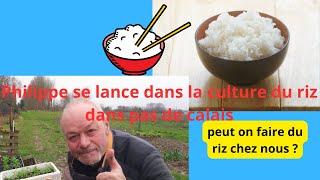 3 mars au jardin Philippe va se lancer dans la culture du riz 😅 [upl. by Aicemed]