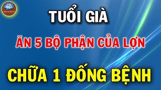 Về già Cứ Ăn 5 Bộ Phận Này Của Lợn Sẽ Sống ất Thọ Gan Thận Sạch Độc Khỏe Như Voi [upl. by Ezarras722]