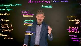 Archaea cell wall variation [upl. by Ansell]