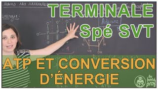 ATP et conversion dénergie dans les cellules  Spé SVT  Terminale  Les Bons Profs [upl. by Ahserkal]