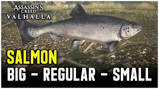 Assassins Creed Valhalla  Salmon Fish Locations Big  Regular  Small [upl. by Aelahc779]