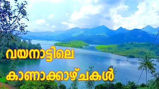 ഇത്രയേറെ സ്ഥലങ്ങൾ വയനാട്ടിലുണ്ടോ  Best Place to visit in Wayanad [upl. by Haiel487]