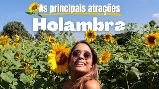 HOLAMBRA AS PRINCIPAIS ATRAÇÕES DA CIDADE DAS FLORES [upl. by Nahgrom]