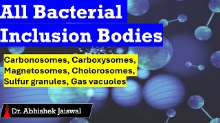 Bacterial InclusionCarbonosomesCarboxysomesMagnetosomesChlorosomesPhosphate Sulfur Granules [upl. by Drolet]