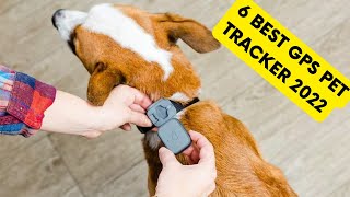 6 BEST GPS PET TRACKER 2022  BEST DOG TRACKER WITHOUT SUBSCRIPTION  TRACTIVE DOG TRACKER [upl. by Ambler]