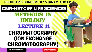 Column Chromatography Ion Exchange Chromatography  Methods in Biology [upl. by Nilyak]