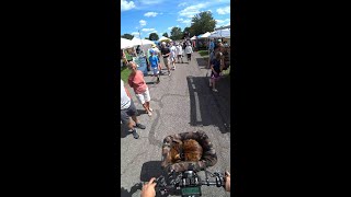 Pouncey does Music at the Marina Cat on a bike rides through local festival [upl. by Bradney101]