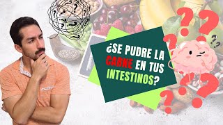 La Verdad Sobre la Fibra Salud Intestinal en una Dieta Carnivora [upl. by Bessy]