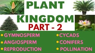 Plant Kingdom Part 2 Important Biology Lecture chapter11SSC  UPSC  CDS  PSC and other Govt [upl. by Attenahs]