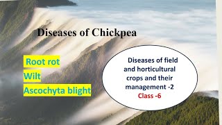 Diseases of Chickpea  Root rot  Wilt  Ascochyta blight  Pathology Hindi Explanation [upl. by Ecerahs837]