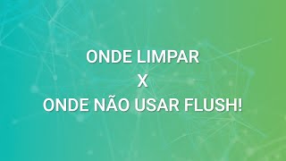 Onde limpar X onde não usar o FLUSH K11 [upl. by Ahsieken992]