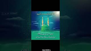 Muhammad Nabina Saw 20safarchehlumimamhussain unfrezzmyaccount islamicfigure poetry 25safar [upl. by Leffen]