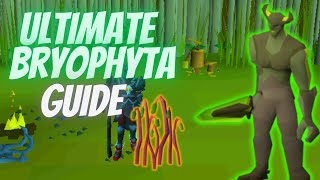 The Ultimate Bryophyta Guide 445  OSRS F2PMembers [upl. by Markiv]