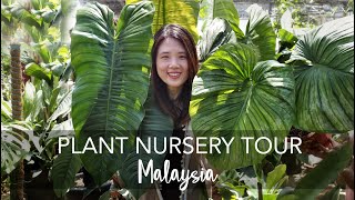 Plant Nursery Tour in Malaysia  Exotic Rare amp OVERSIZED Tropical Plants with 40 plant IDs [upl. by Nollat]