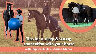 Top tips for a strong connection learn how to stimulate your horse’s motivation amp concentration [upl. by Pegeen542]