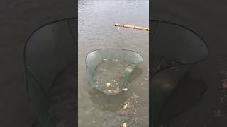 অসাধারণ মাছ ধরার কায়দা 🐟 Fishing Style  fishing ytshorts viralvideo talent AGGACHOKRO [upl. by Hatti]