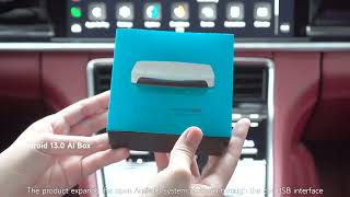 Carlinkit Tbox UHD Carplay AI Box Unboxing Review [upl. by Chatav510]