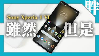 Sony Xperia 1 VI開箱動手玩：幾乎都做對了，除了一件事｜對比Xperia 1 V｜安兔兔跑分｜相機簡單實拍｜劉胖胖 [upl. by Anehta]