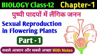 Structure of Flower  class 12 biology sexual reproduction in flowering plants  pushp ki sanrachna [upl. by Brenna]