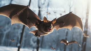 8 hours Repellent Anti Bats Sound  Ultrasonic Sound  Get Rid Of Bats  High Frequency  No Bats [upl. by Sneve]