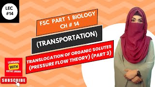 Ch14 Transportation Lec 14  Translocation Of Organic Solutes Pressure Flow Theory riffatjahan [upl. by Esirehc]