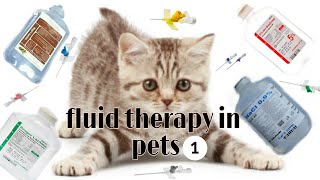 المحاليل وأنواعها للحيوانات الاليفه fluid therapy in pets animal طببيطري [upl. by Vanny]