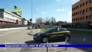 Padova Sequestrato mezzo chilo di droga dalla GdF 17092024 [upl. by Meras812]