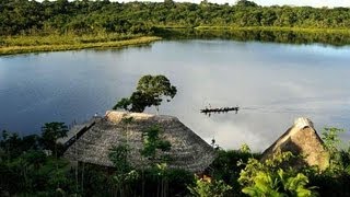 Yasuni national park We want to give it as a gift for humanity [upl. by Jillana]