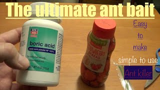 How I make ant bait from boric acid and jelly [upl. by Ahsan]